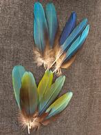 Ara Veertjes -, Verzenden, Gebruikt, Materiaal