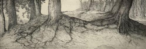 Ets, Reinder Homan, Antiek en Kunst, Kunst | Etsen en Gravures, Ophalen of Verzenden