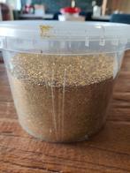 Glitters goud 1 kg, Nieuw, Overige typen, Ophalen of Verzenden