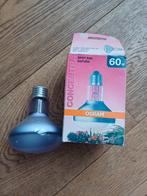 1x Osram concentra natura planten-lamp 60 Watt, Ophalen of Verzenden, Nieuw, E27 (groot), Gloeilamp