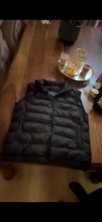 Zara Bodywarmer - Nieuw!, Kleding | Heren, Ophalen, Nieuw, Overige maten, Zwart