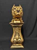 Pitbull kop op zuil. Brons gekleurd Antiek goud., Ophalen of Verzenden, Nieuw, Dier