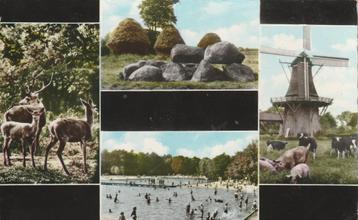 NORG Edelherten Hunebed Molen Zwembad kl.f.  beschikbaar voor biedingen