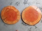 Boomstam schijven eenzijdig gelakt. Diameter=35cm dikte 4cm., Huis en Inrichting, Ophalen of Verzenden, Zo goed als nieuw, Overig