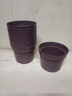 Kweekpotten 2 liter, Tuin en Terras, Bloempotten, Kunststof, Gebruikt, Info@krimpen.nl, Molenstraat 42
4758 AB Standdaarbuiten
Nederland