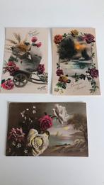 3 mooie oude Fotokaarten. Rond 1930. Natuur, rozen, Gelopen, Verzenden