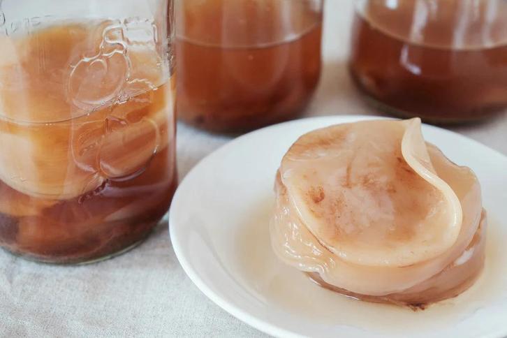 Kombucha SCOBY, Diversen, Levensmiddelen, Ophalen of Verzenden