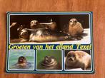 Groeten van het eiland Texel. Zeehond, Ophalen of Verzenden, 1980 tot heden, Gelopen, Waddeneilanden
