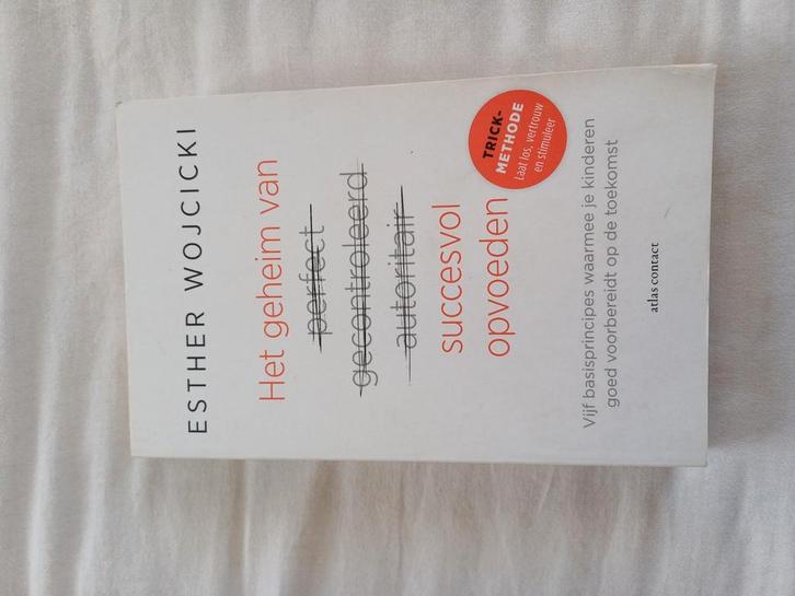 Esther Wojcicki - Het geheim van succesvol opvoeden, Boeken, Wetenschap, Zo goed als nieuw, Ophalen of Verzenden