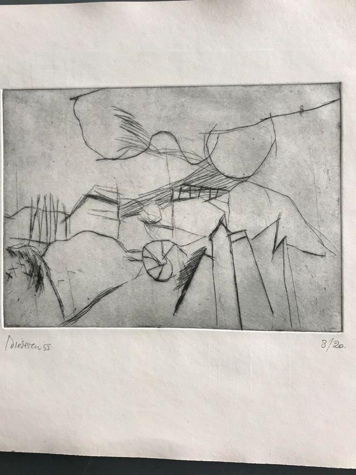 Jef Diederen, ets, doorzichtig landschap, Antiek en Kunst, Kunst | Etsen en Gravures, Ophalen of Verzenden