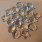 GLAZEN SCHELPEN EN ZEESTERREN-ZOMER-ZEE-LEUK IN EEN VAAS enz, Huis en Inrichting, Woonaccessoires | Overige, Verzenden, Zo goed als nieuw