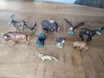Schleich exclusives, muskusos, gemsbok, enz, Verzamelen, Dierenverzamelingen, Ophalen of Verzenden, Zo goed als nieuw, Paard, Beeldje of Figuurtje