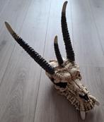 Schedel van een draak leuk om op te hangen of neer te zetten, Ophalen of Verzenden, Gebruikt, Fantasy