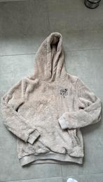 Knolpower hoodie sweater maat 146/152, Kinderen en Baby's, Jongen of Meisje, Trui of Vest, Knolpower, Ophalen of Verzenden