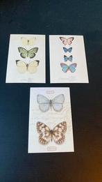 3 vintage kaarten - vlinders, Verzamelen, Ansichtkaarten | Dieren, Ophalen of Verzenden, Ongelopen, Overige soorten
