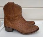 Sendra Laarzen met studs, Kleding | Dames, Schoenen, Bruin, Verzenden, Lage of Enkellaarzen, Zo goed als nieuw