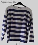 trui Pescara blauw maat XXL, Blauw, Maat 46/48 (XL) of groter, Pescara, Ophalen of Verzenden