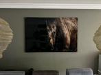Schilderij (Plexiglas) neushoorn 100 x 150, Foto of Poster, 125 cm of meer, Zo goed als nieuw, Ophalen