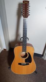 Ibanez Performance 12 snarige gitaar, Ophalen, Gebruikt, Western- of Steelstringgitaar, 12-snarig