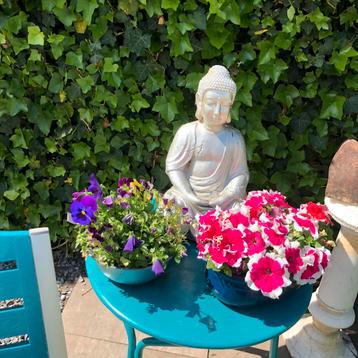 2 Boeddha’s beschikbaar voor biedingen