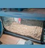 Verschillende aquariums te koop, Ophalen, Zo goed als nieuw