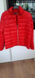 Rode Gewatteerde Jas DFVV - XL, Kleding | Dames, Maat 46/48 (XL) of groter, Ophalen of Verzenden, Zo goed als nieuw, DFVV