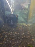 Wildkleur garnalen, Kreeft, Krab of Garnaal