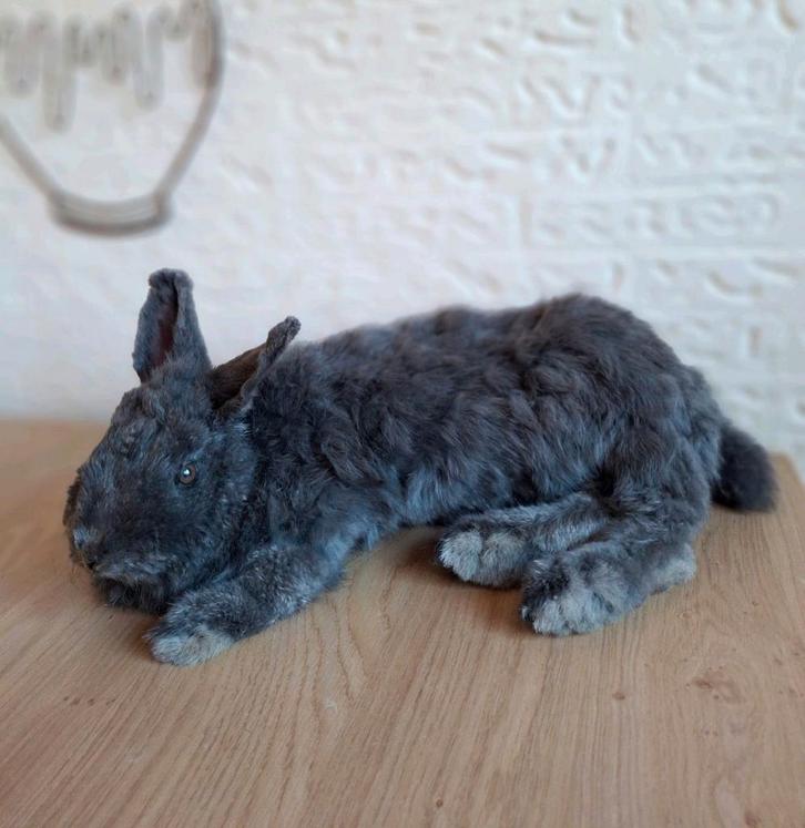 Opgezet groot konijn Blauwe Wener, Verzamelen, Dierenverzamelingen, Nieuw, Opgezet dier, Overige soorten, Ophalen of Verzenden