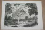 Antieke gravure - Ruïnes van Anarajapura (Ceylon) - 1874 !!, Ophalen of Verzenden