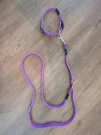 Hondenriem (multilijn) en halsband Utility van Rogz, Ophalen of Verzenden, Zo goed als nieuw