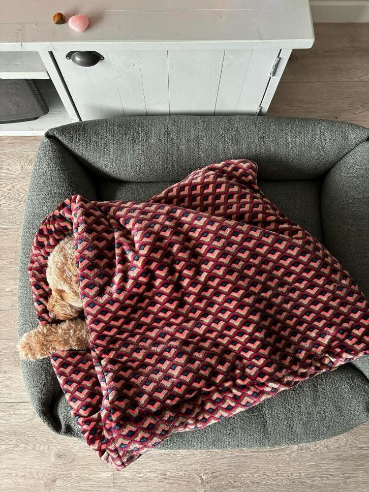 Slaapzak hond puppy hondenmand hondenkussen mand kussen, Dieren en Toebehoren, Hondenmanden, Nieuw, Ophalen of Verzenden