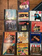 Piraten/nederlandse cd s, Cd's en Dvd's, Ophalen of Verzenden, Zo goed als nieuw, Levenslied of Smartlap