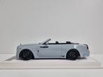 Ivy Merit Rolls Royce Dawn Novitec Overdose
1/40 1:18 Nieuw, Hobby en Vrije tijd, Modelauto's | 1:18, Ophalen of Verzenden, Nieuw