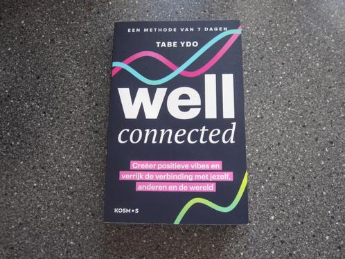 Well Connected Tabe Ydo 2023, Boeken, Psychologie, Zo goed als nieuw, Persoonlijkheidsleer, Ophalen of Verzenden