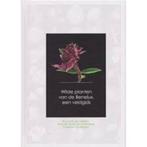 wilde planten van de Benelux, een veldgids, Boeken, Natuur, Ophalen of Verzenden, Zo goed als nieuw, Bloemen, Planten en Bomen