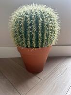 Kunstplant Cactus., Ophalen, Zo goed als nieuw, Binnen