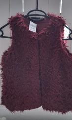 Meisjes Bodywarmer, Kinderen en Baby's, Kinderkleding | Maat 146, Ophalen of Verzenden