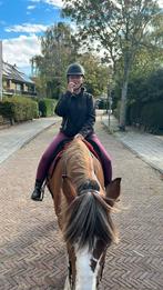 Paardendekens maat 225 gezocht, Ophalen of Verzenden