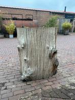 Grote houten stam, Ophalen