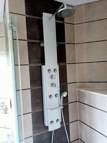 Douchepaneel incl douche en evt douchebak en deuren beschikbaar voor biedingen
