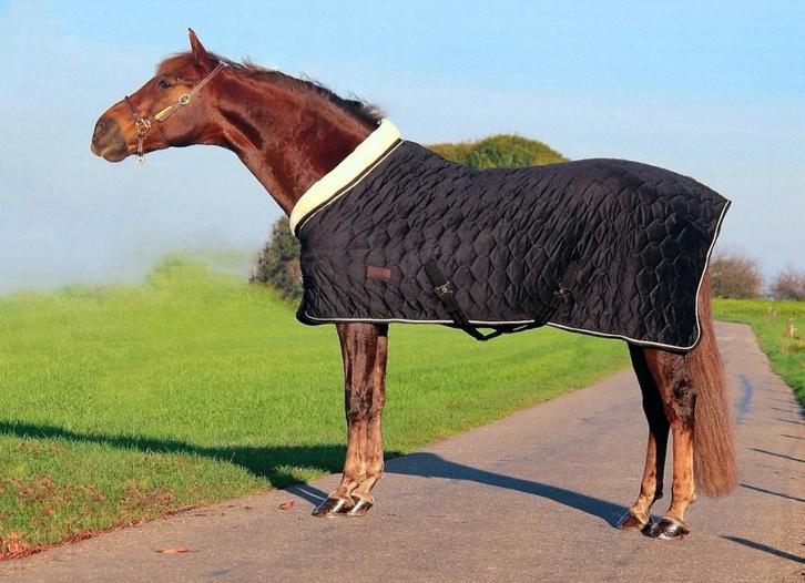 Profi-Rider Showdeken 250g Velvet Zwart 185 SALE!, Dieren en Toebehoren, Paarden en Pony's | Dekens en Dekjes, Nieuw, Deken, Ophalen of Verzenden