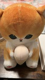 Kat, Ophalen of Verzenden, Zo goed als nieuw, Poes