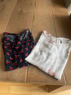 Only T shirten., Ophalen of Verzenden, Zo goed als nieuw, Maat 38/40 (M), Korte mouw