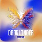 3 Tickets Dagvlinder Outdoor Festival, Tickets en Kaartjes, Evenementen en Festivals, Drie personen of meer