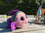 Mooiste vis van de zee. Regenboog. Groot, Twee personen