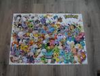 Pokemon poster, Ophalen of Verzenden, Zo goed als nieuw, A1 t/m A3, Film en Tv