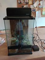 Exo Terra terrarium met toebehoren, Dieren en Toebehoren, Ophalen, Zo goed als nieuw, Terrarium of Paludarium