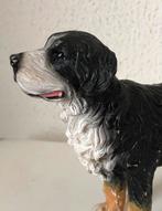 Hond Bedldje Hondenrassen Vintage Sennenhond, Ophalen of Verzenden, Zo goed als nieuw, Hond of Kat, Beeldje of Figuurtje