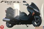 Coelianmodels, Aoshima 06324 HONDA Forza MF08, 1/12, € 32,99, Overige merken, Nieuw, Ophalen of Verzenden, Groter dan 1:32