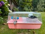 Roze hamsterhok, Dieren en Toebehoren, Minder dan 75 cm, Zo goed als nieuw, Ophalen, Minder dan 60 cm